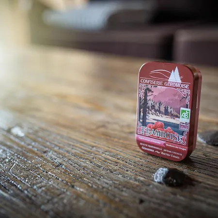 La Souris, Chaleureux Avec Vue Panoramique * Gérardmer