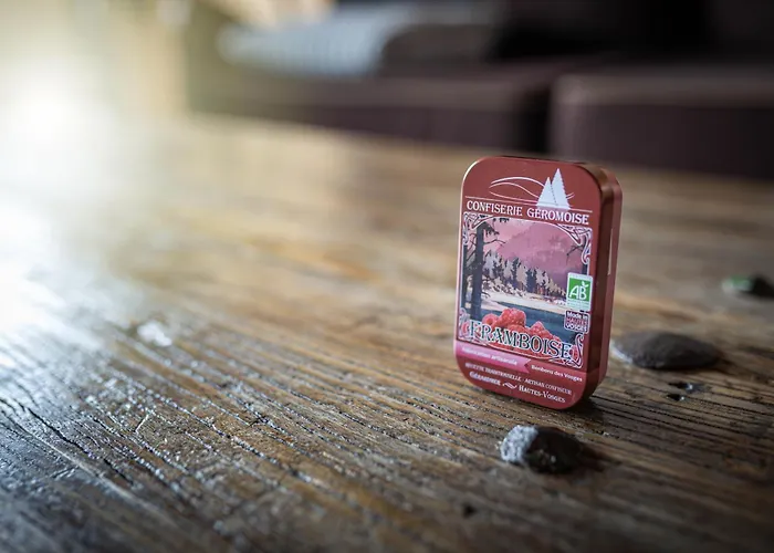 La Souris, Chaleureux Avec Vue Panoramique * Gérardmer